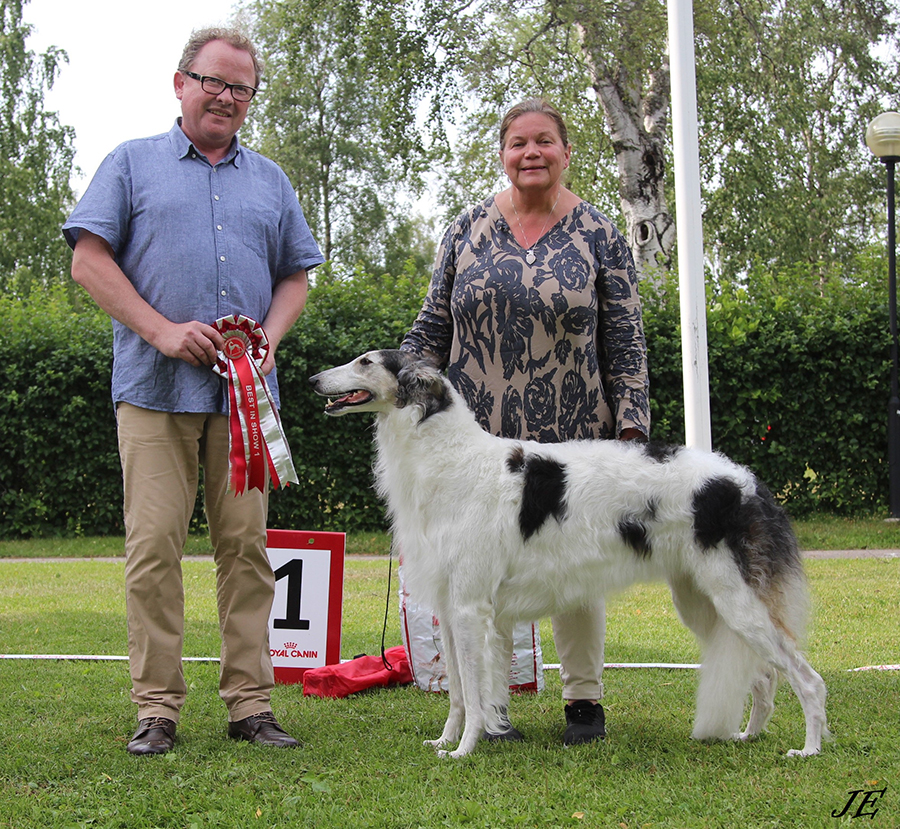 BEST IN SHOW Sylvan Elance Summerlane Spellbound
