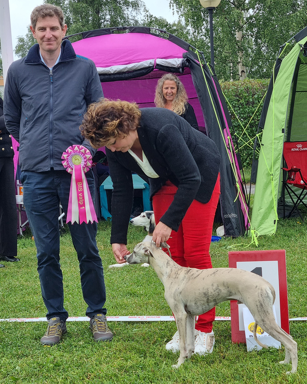 BIS 1 Baby Carry On Filius Flitwick