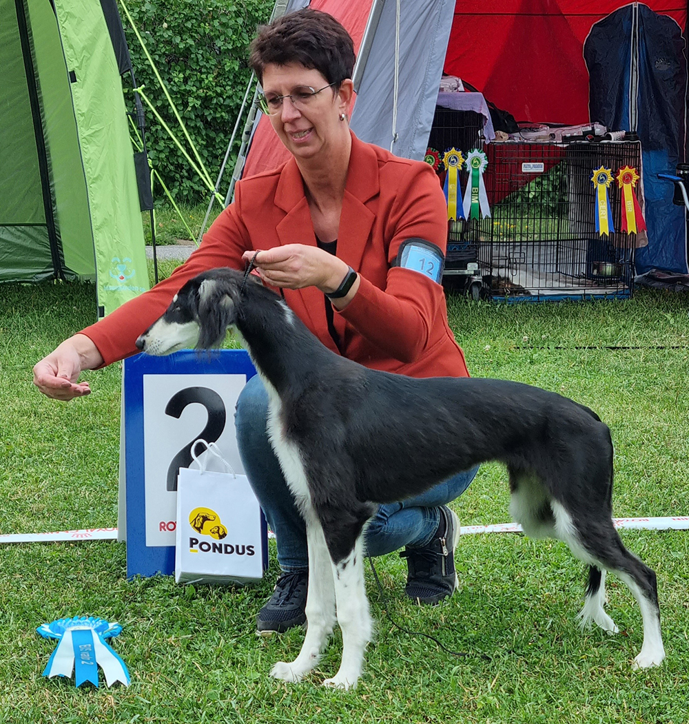 BIS 2 Baby Majo's Tasmira