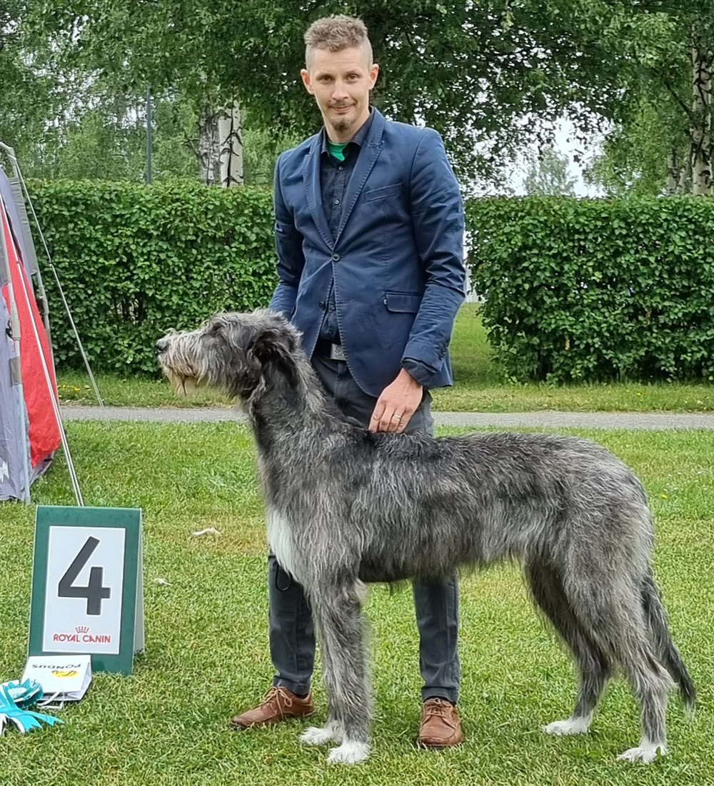 BIS-4 Tinwhistle's Lady Macbeth