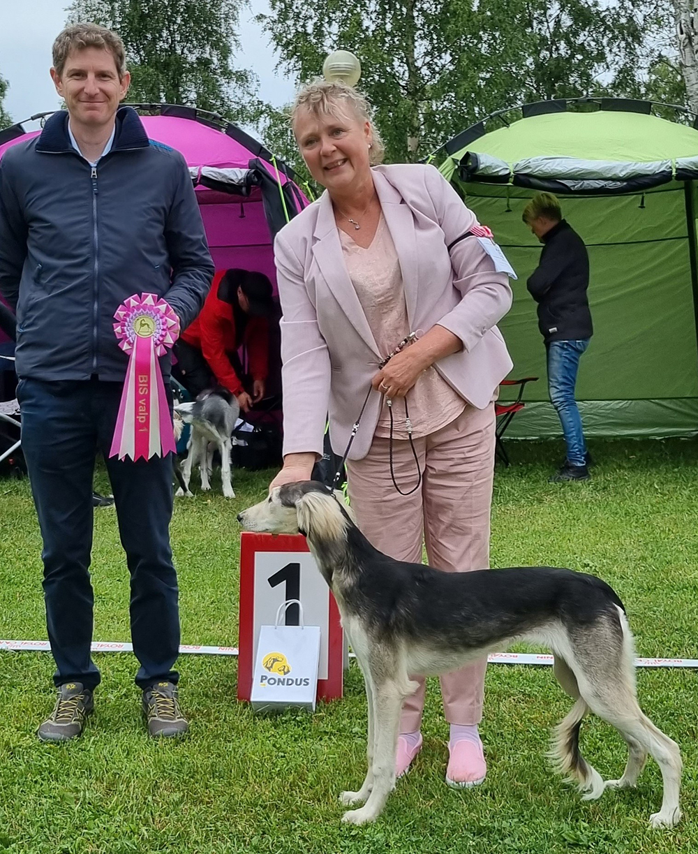 BIS 1 Valp Soheil Nour Kalifa Jadila