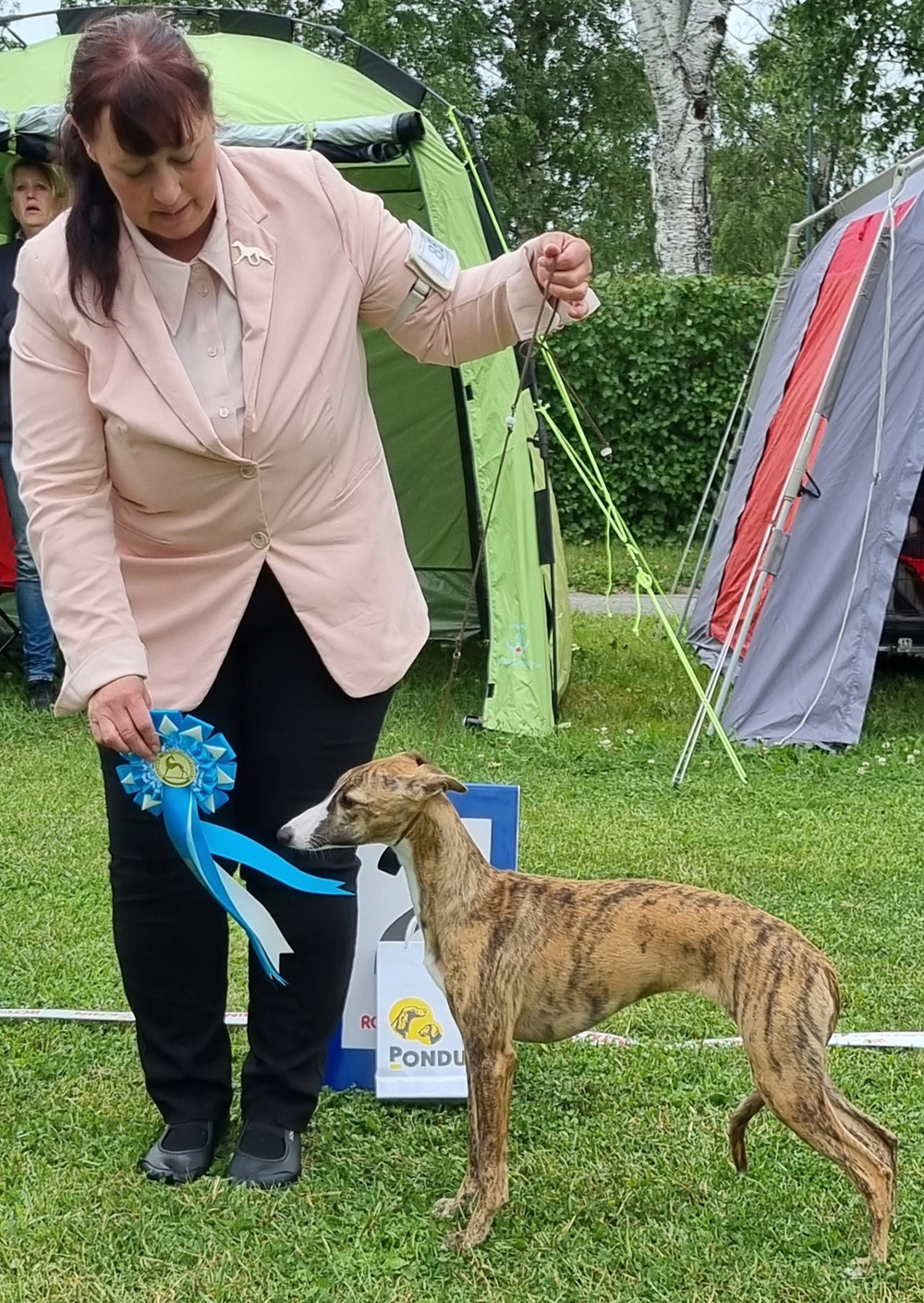 BIS 2 Valp Bluefrost Evoleht's I Woof You