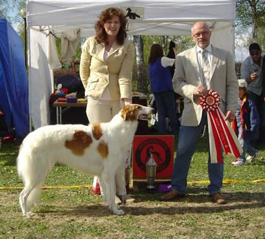 Ägare Vesterlund Ritva-Liisa, Åmsele