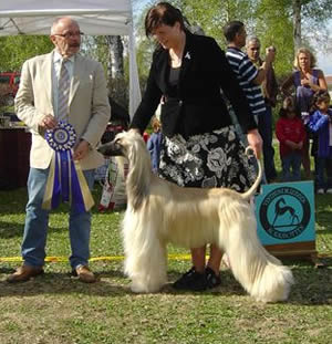 Ägare Seija Sivosuo & Slla Suokas, Rusutjärvi, Finland