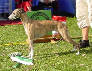 Ägare Ingvarsson Svanhild, Ingvarsson Mats-Owe, Ursviken