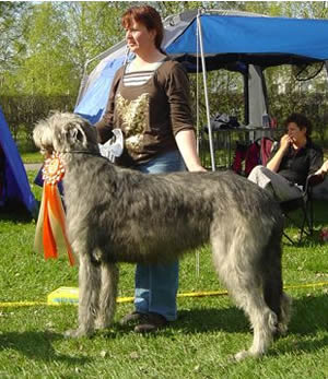 Ägare Riitta Lehto-Nevala, Rantsila, Finland