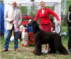 Ägare Ljungberg Ulrica, Råneå