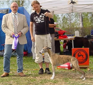 Ägare Ingvarsson Svanhild, Ingvarsson Mats-Owe, Ursviken