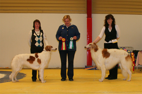 Skellefteå 26/4 2008