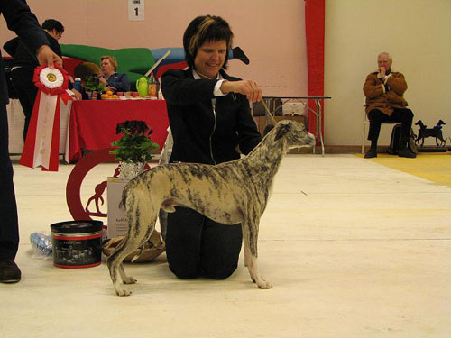 Ägare: Ewa Westerlund, Umeå