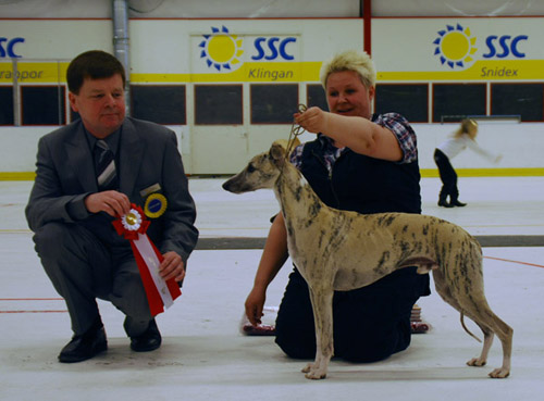 BEST IN SHOW Tappinski's French Fashion