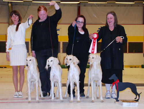 BIS UPPFÖDARGRUPP Kennel Khalils