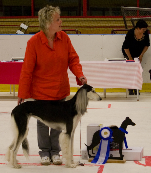 Ägare: EEVA OLKINUORA, SKELLEFTEHAMN