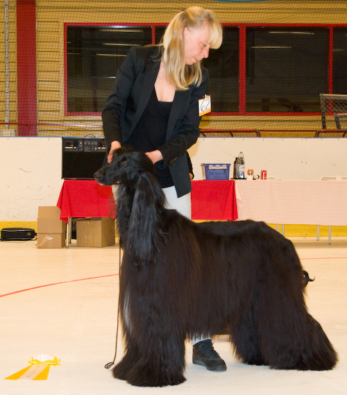 Ägare: JAN MALMSTEN, STOCKHOLM