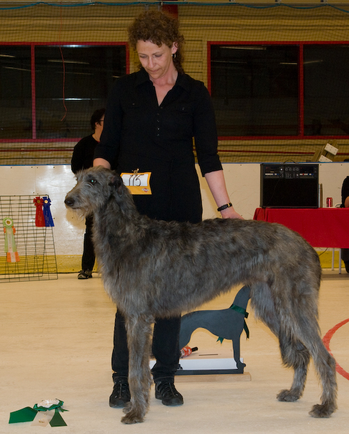 Ägare: BRITT LUNDBERG, PITEÅ