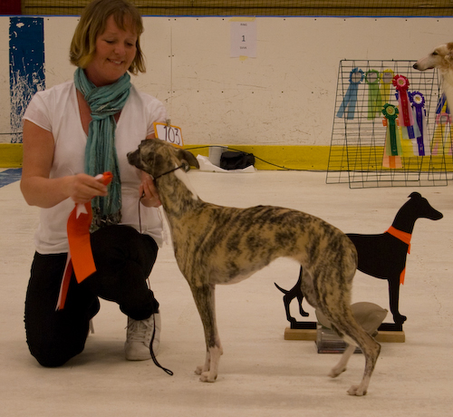 Ägare: SUSANNE FORSGREN, UMEÅ