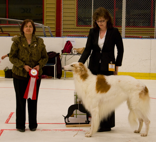 Ägare: KATARINA TUOMA LUNDBERG, JÖRN