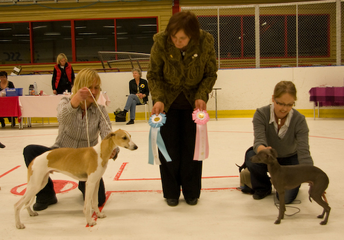 Ägare: GABRIELLE & RICKARD WIKSTRÖM, BYSKE