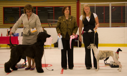 Ägare: ERIK LINDGREN, PITEÅ