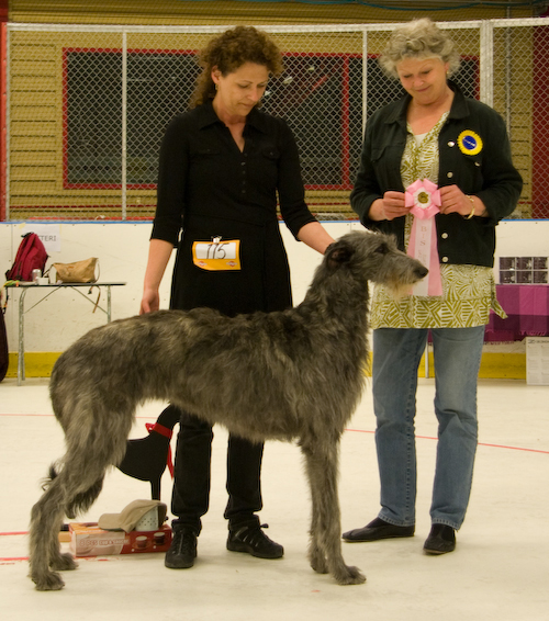 Ägare: BRITT LUNBERG, PITEÅ