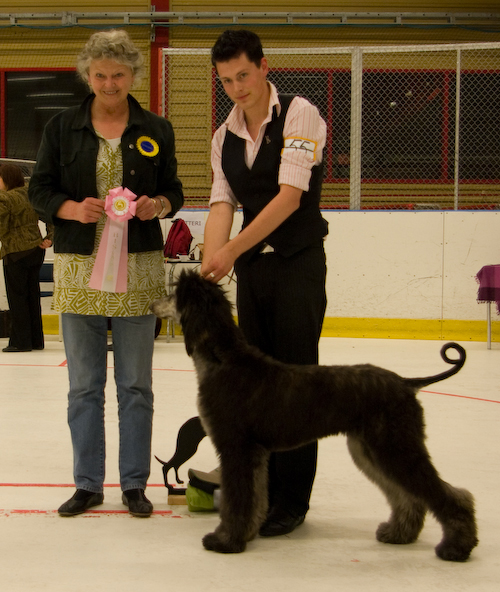 Ägare: MATTIAS LÖFSTEDT, ÅNGE