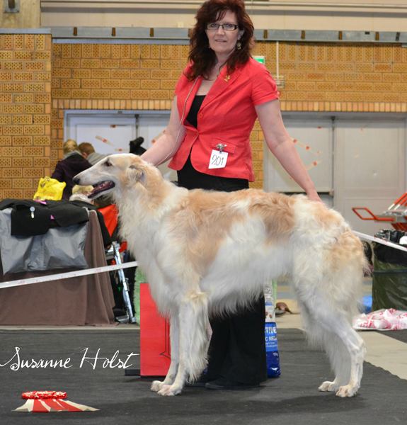 BEST IN SHOW Krilat Charadei