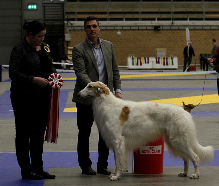 BEST IN SHOW Borscana Eurocub