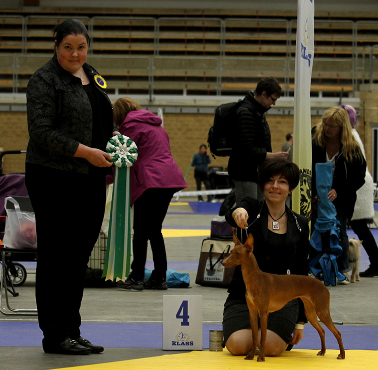 BEST IN SHOW 4 Lex Murphy Can't Get Enough