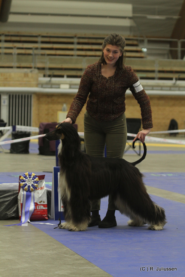 Best in Show 2 Yasmin Bint Battal von Haussman