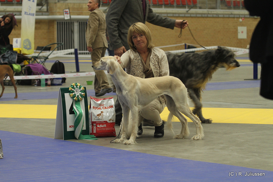 Best In show 4 Badavie Acilia