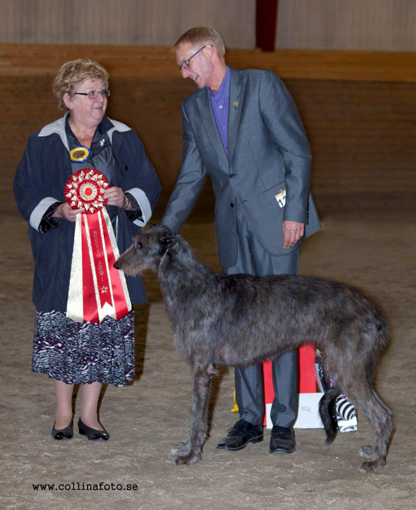 BEST IN SHOW Hyndsight Clouds Illusion