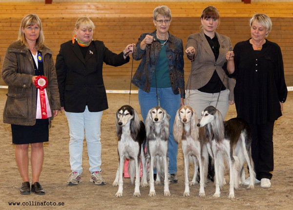 BIS UPPFÖDARGRUPP kennel Khalils