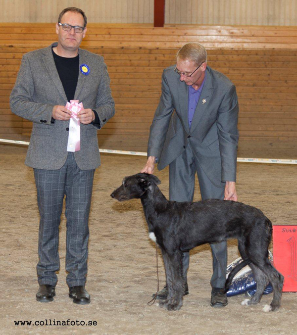 BIS BABYVALP Lawtons Be bop Baby