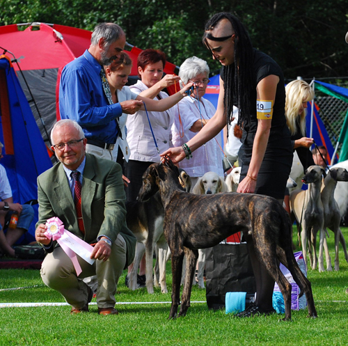 BIS JUNIOR Hot Isle Cayetano