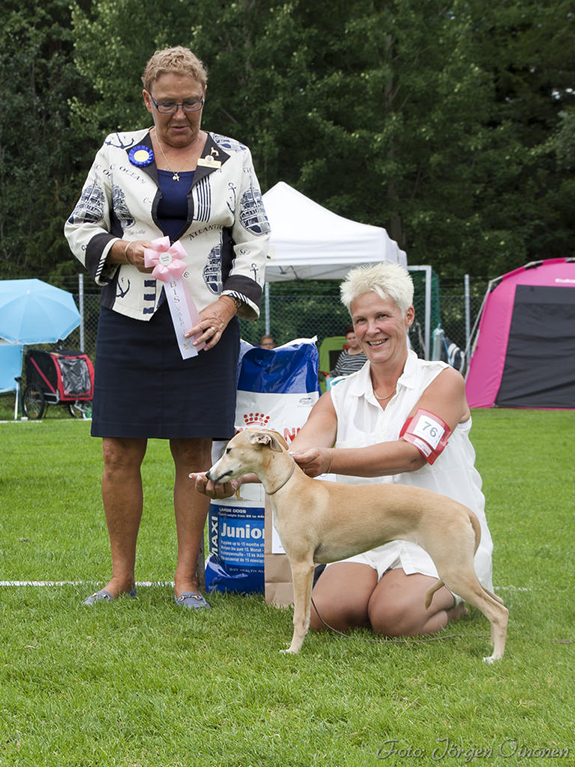 BIS BABYVALP Tappinskis Sunshine In My Life