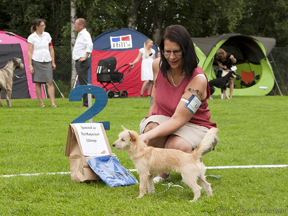 BIS-2 BABYVALP Gelert's Bim-Boo