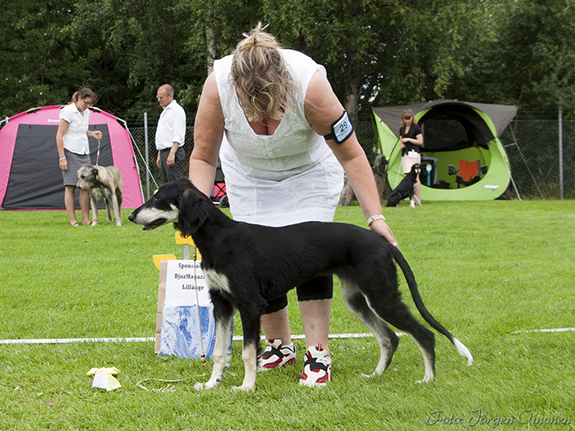 BIS-3 BABYVALP Badavie Veni Vidi Vici