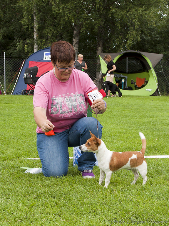 BIS-4 BABYVALP Plupp Da Quinta Do Saloio