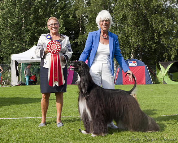 BEST IN SHOW DE, ES, NL, PL, US, GB, Int, Nord & FIUCh VDHCH WW-10, -11, -12 & -13 Al-Nacira Bint Roula von Haussman