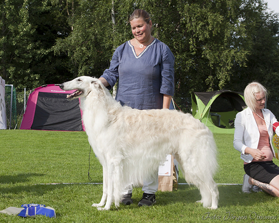 BIS-2 C.I.B. GB, DK & FI, SE & NOUCh NOV-09, -11 & -12 NordJV-07 SEV-11 Borzowski's Phenomenon