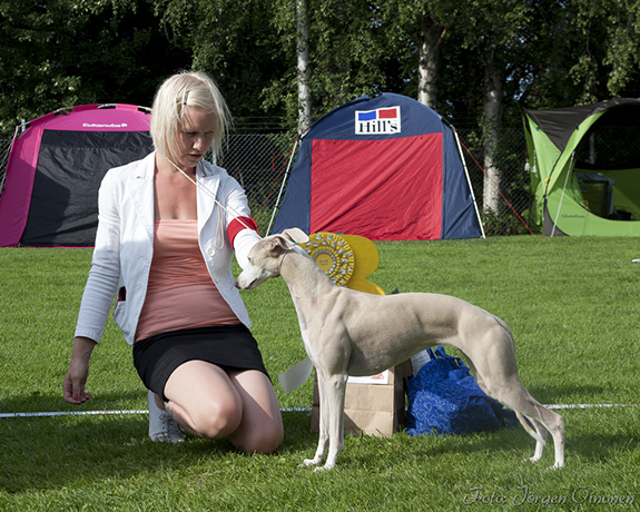 BIS-3 C'Mere Milwaukee