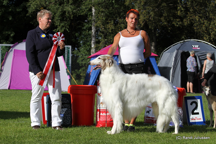 BEST IN SHOW SE UCH Kozlowski's Ozzy Ozbourne