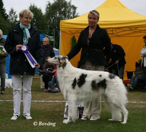 BIS VETERAN Borzoi NO UCH SE UCH SE V-00 Zimistraija Narita
