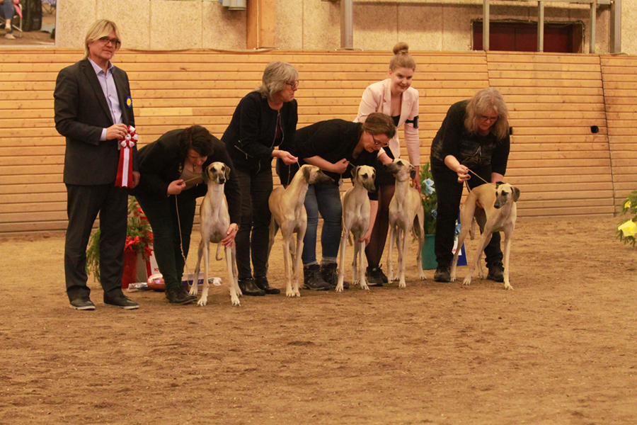 BIS avelsgrupp Tillieville Villia Vanille