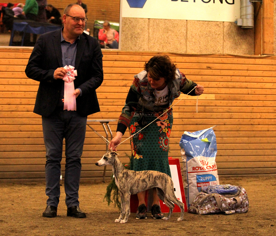 BIS babyvalp Carry on Nothing Really Matters