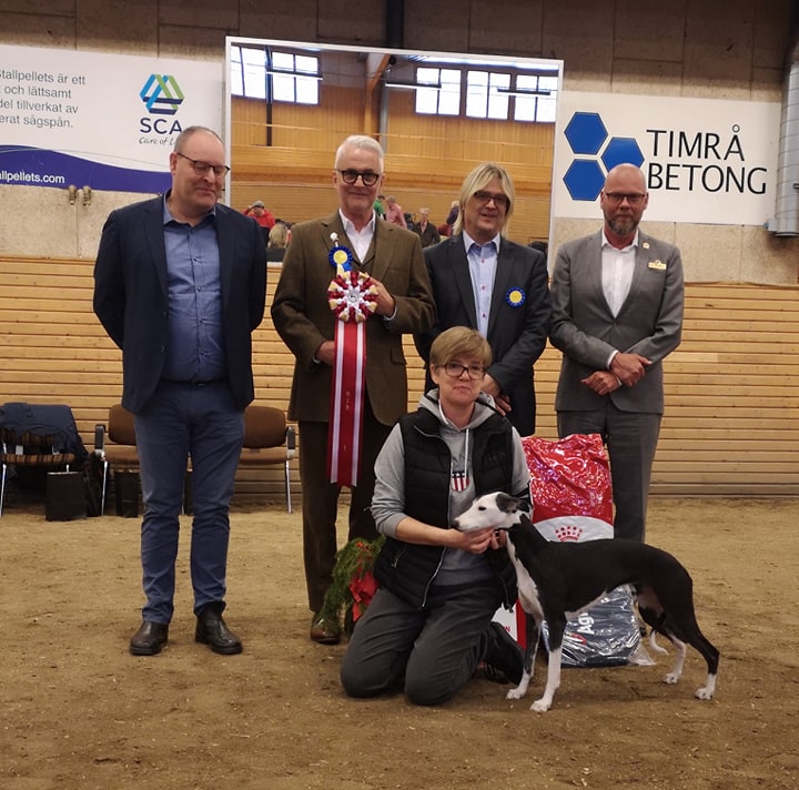 BEST IN SHOW 1 Snow Hill After Midnight