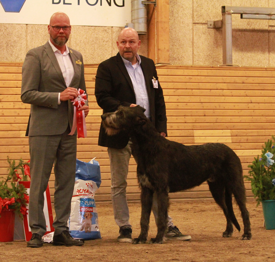 BIS junior Knallåsens Öxne