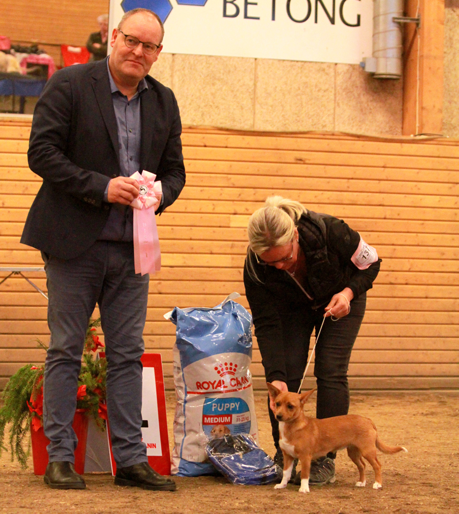 BIS valp Muslis Pippi