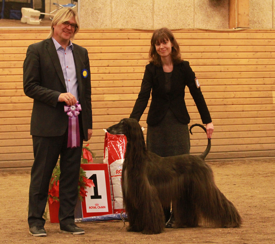 BIS veteran Khaos Gillianne