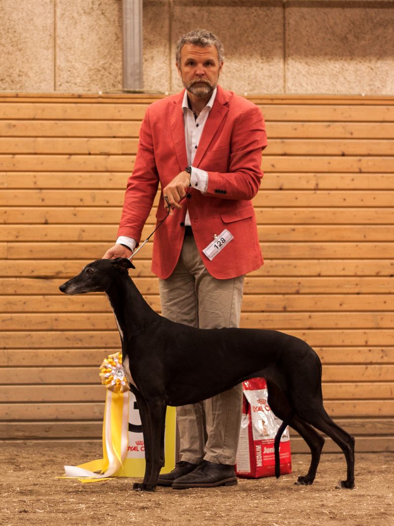 BIS-3 Epic Incredible